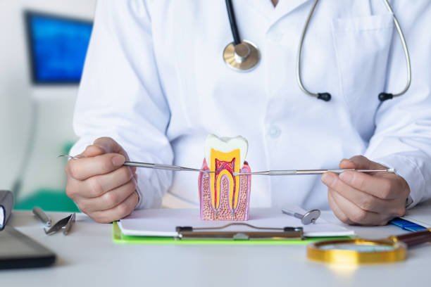 Best Knocked-Out Tooth (Avulsed Tooth) Treatment in Bridgetown, MS
